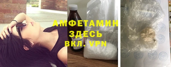 индика Абаза