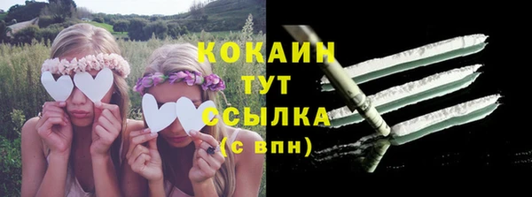 индика Абаза