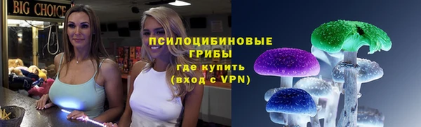 индика Абаза