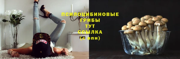 герыч Алексин