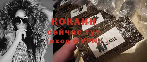 индика Абаза