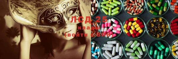 индика Абаза