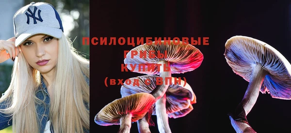 спиды Абдулино