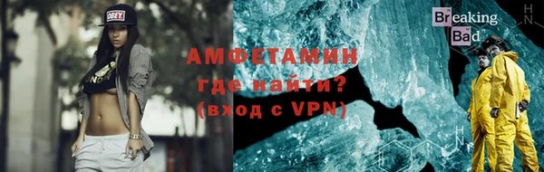 индика Абаза
