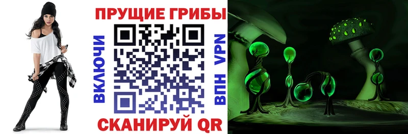 Псилоцибиновые грибы прущие грибы Костерёво